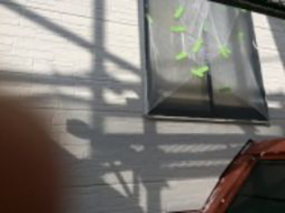 羽曳野市・藤井寺市で外壁塗装・屋根塗装・雨漏り修理なら株式会社日工外壁中塗り