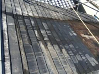 羽曳野市・藤井寺市で外壁塗装・屋根塗装・雨漏り修理なら株式会社日工屋根洗浄